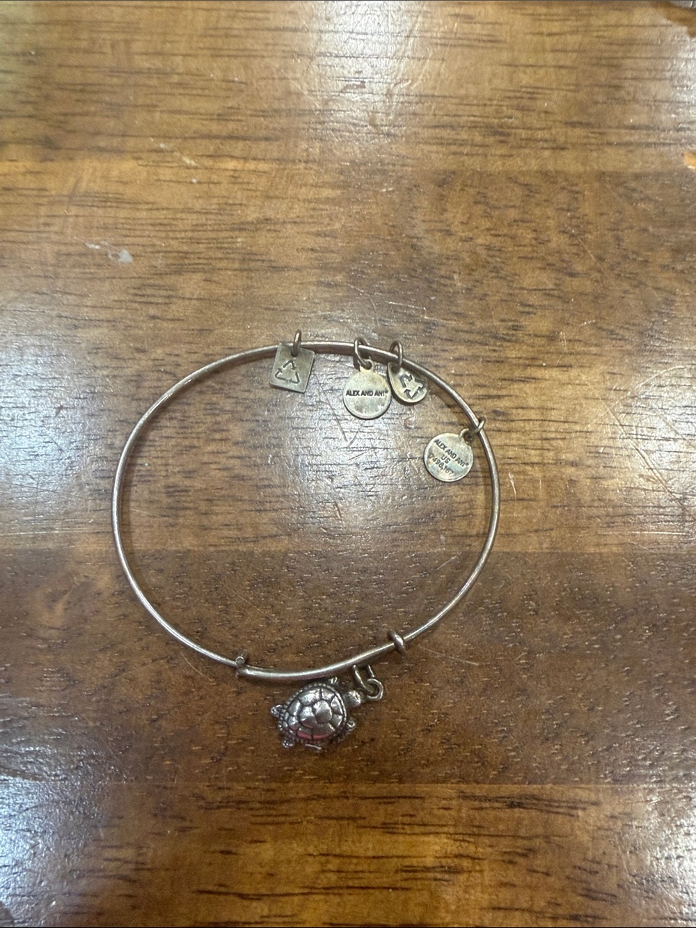 Alex and Ani Antiqued Gold Turtle Charm Expandable Bangle